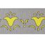 Immagine di STENCIL STANDARD ART.45