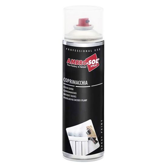 Immagine di BOMBOLETTA SPRAY COPRIMACCHIA 500 ML