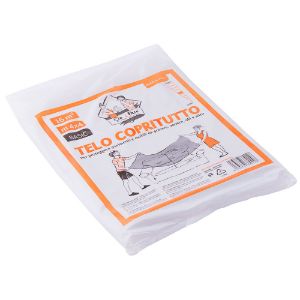 Immagine di TELO COPRITUTTO H.D 4x4 MT 21 gr/mq
