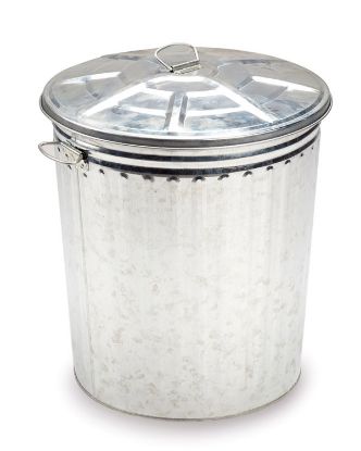 Immagine di BIDONE CON COPERCHIO ZINCATO LT 35