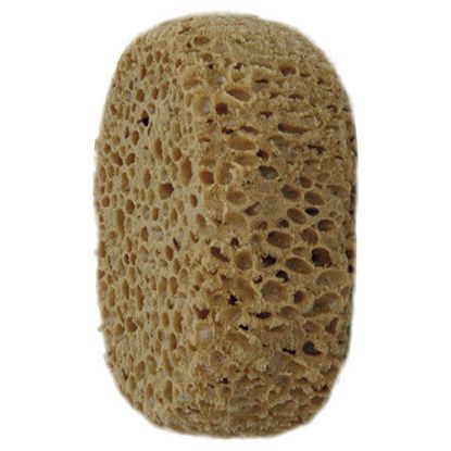 Immagine di SPUGNA SERIE 770 (SPUGNONE) CINGHIALE