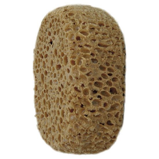 Immagine di SPUGNA SERIE 770 (SPUGNONE) CINGHIALE