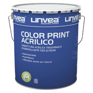 Immagine di TRASPIRANTE COLOR PRINT ACRILICO BIANCO/PASTEL 14 LT EST/INT LINVEA
