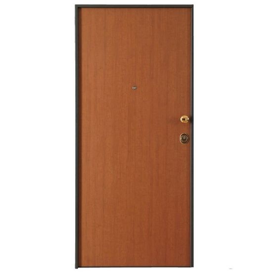 Immagine di PORTONE BLINDATO+(CONTROTELAIO ZINCO) 1 ANTA SX CL.3 2100x800 MM RIV.INT/EST.TANGANICA MEDIO CON FERR. BRONZO