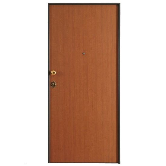 Immagine di PORTONE BLINDATO+(CONTROTELAIO ZINCO) 1 ANTA DX CL.3 2100x800 MM RIV.INT/EST.TANGANICA MEDIO CON FERR. BRONZO (F02A)