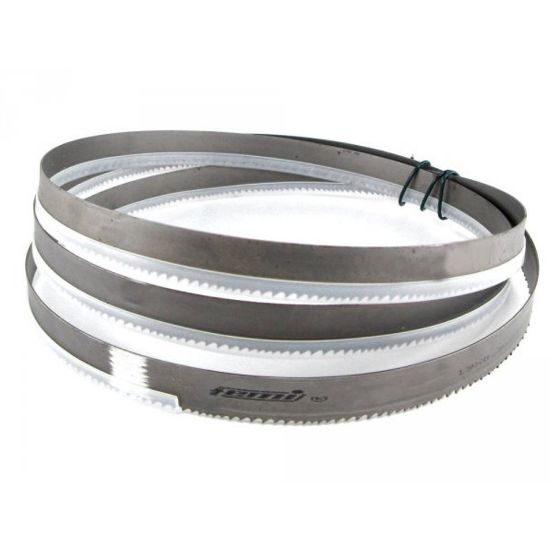 Immagine di LAMA A NASTRO METALLICO PER SEGA 780XL FEMI