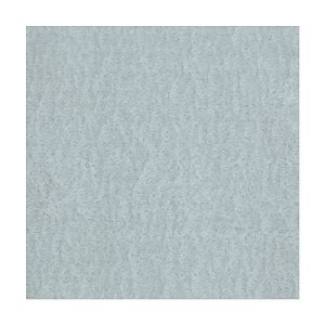 Immagine di LAMIERA ACCIAIO ZINCATO LISCIA SPESSORE 0,5 MM x 250 MM x 500 MM