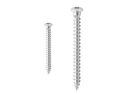 Immagine di VITE INOX TESTA BOMBATA IMPRONTA TORX Ø 5x40 MM CONFEZIONE 500 PZ