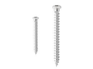 Immagine di VITE INOX TESTA BOMBATA IMPRONTA TORX Ø 5x25 MM CONFEZIONE 500 PZ