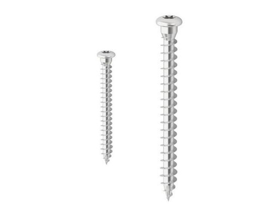 Immagine di VITE INOX TESTA BOMBATA IMPRONTA TORX Ø 5x25 MM CONFEZIONE 500 PZ