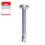 Immagine di VITE PER FERRO TESTA CILINDRICA AUTOFORANTE 4,2x25 MM BLISTER 25 PZ