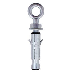 Immagine di TASSELLO CON OCCHIOLO Ø 12x50 MM - M6 CONFEZIONE DA 50 PZ