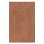Immagine di PAVIMENTO IN KLINKER STRADE ROMANE APPIA 13x26 CM SPESSORE 10 MM R10 DOMUS LINEA