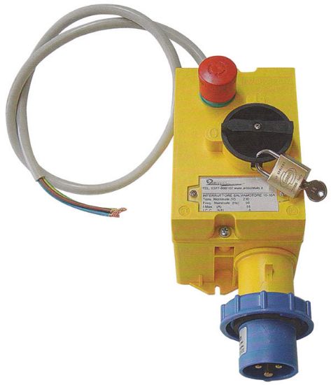 Immagine di AVVIATORE MONOFASE PER SEGATRICE 230VO LT