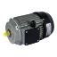 Immagine di MOTORE ELETTRICO KW 1,4 PER SYNTESI 300/350 220-240V 50HZ IMER