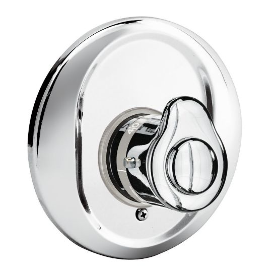 Immagine di MISCELATORE TERMOSTATICO INCASSO DOCCIA CROMO RIVER