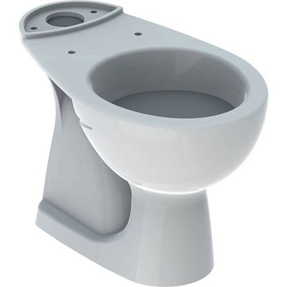 Immagine di VASO COLIBRI' DUO MONOBLOCCO SCARICO PAVIMENTO CERAMICA BIANCA GEBERIT (SENZA SEDILE)