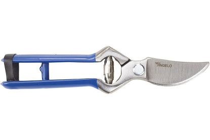 Immagine di FORBICE PER POTA TIPO 21 CM 2 BUOI