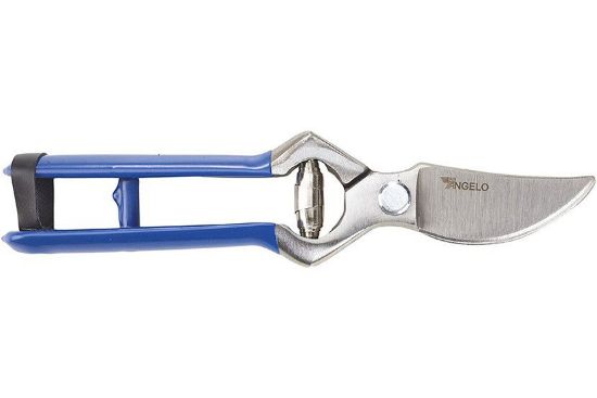 Immagine di FORBICE PER POTA TIPO 21 CM 2 BUOI