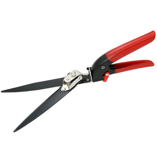 Immagine di FORBICE PER ERBA REGOLABILE IMPORTAZIONE MISTRAL