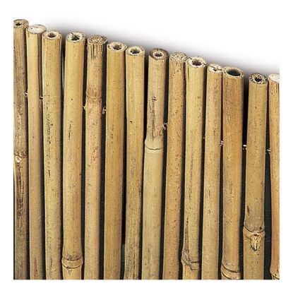 Immagine di ARELLA CANNE DIAMETRO 15 MM H200-L300 CM