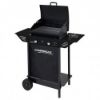 Immagine di BARBECUE GAS XPERT 100  LS PLUS CON FORNELLO LATERALE CAMPING GAZ ITALIA