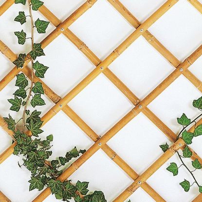 Immagine di TRALICCIO BAMBÙ RIVETTATO H240-L90 CM