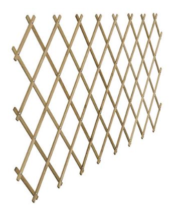 Immagine di GRIGLIATO ESTENSIBILE AUTOCLAVATO H200-L100 CM