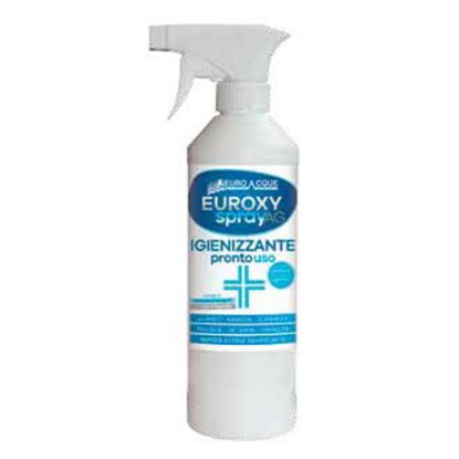 Immagine di IGENIZZANTE SPRAY EUROXY DA 0,75 KG PRONTO ALL'USO EUROACQUE