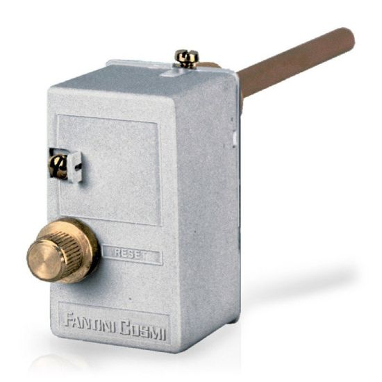 Immagine di TERMOSTATO DI BLOCCO 100G IMMERSIONE