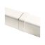 Immagine di GIUNZIONE COPERCHIO PER CANALA 80x60 MM