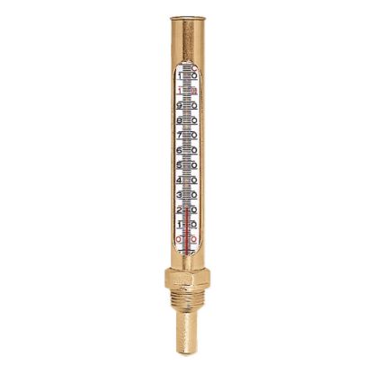 Immagine di TERMOMETRO IN VETRO CON CUSTODIA SCALA 0-120° GAMBO 45 MM . ATTACCO 1/2"M CALEFFI