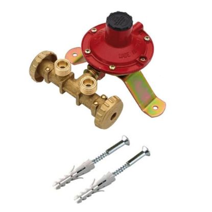 Immagine di CENTRALINA MIGNON 2 VIE PIU STAFFA PIU REGOLATORE 4 KG