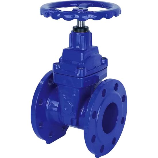 Immagine di SARACINESCA A CUNEO GOMMATO FLANGIATA DN 40