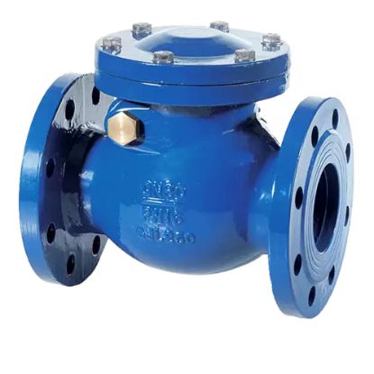 Immagine di VALVOLA A CAPLET FLANGIATA DN 100 GHISA