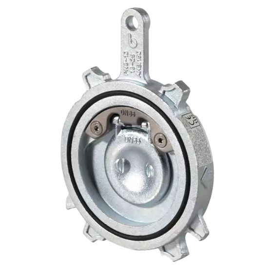 Immagine di VALVOLA A CAPLET WAFER FLANGIATA DN 80 GHISA