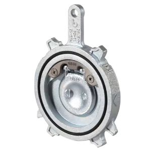 Immagine di VALVOLA A CAPLET WAFER FLANGIATA DN 32 GHISA