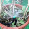 Immagine di MICRO IRRIGATORE SPRAY FISSO 180 GRADI VERDE