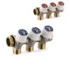 Immagine di COLLETTORE SANITARIO Ø 3/4" MF 4 VIE DA 1/2" CON RUBINETTI ED AUTOTENUTA TE-SA