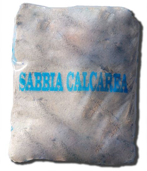 Immagine di SACCO DI SABBIA MULINO GRANULOMETRIA 1/3 MM