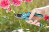Immagine di FORBICE DA GIARDINO CLASSIC B/S-M GARDENA