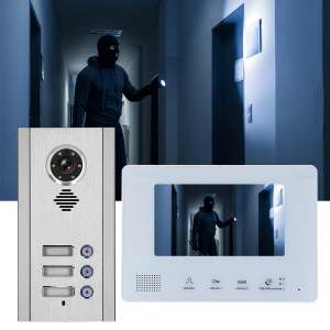 Immagine per la categoria CITOFONIA, VIDEOSORVEGLIANZA E ANTIFURTO