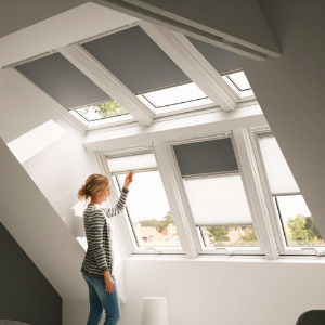 Immagine per la categoria FINESTRE DA TETTO VELUX