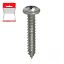Immagine di VITE INOX PER FERRO TESTA CILINDRICA AUTOFILETTANTE 5,5X25 MM BLISTER 8 PZ