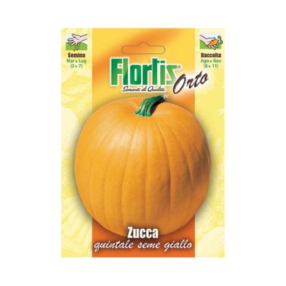 Immagine di BUSTINA SEMI ORTO ZUCCA QUINTALE L 11,5 H 16 CM FLORTIS