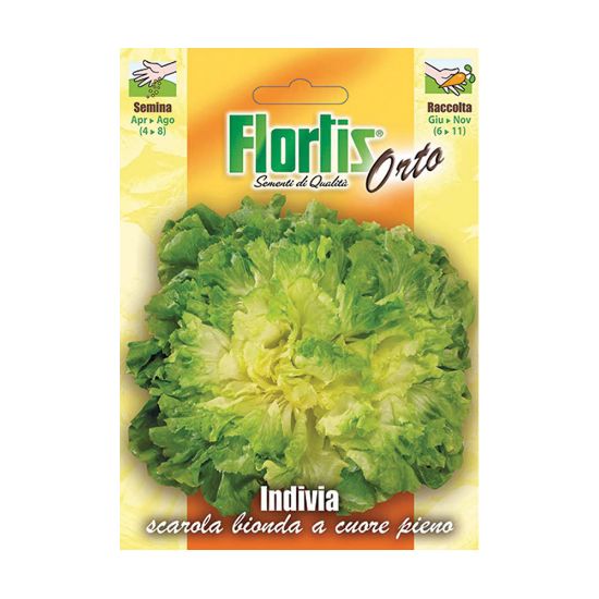 Immagine di BUSTINA SEMI ORTO INVIDIA SCAROLA BIONDA L 11,5 H 16 CM FLORTIS