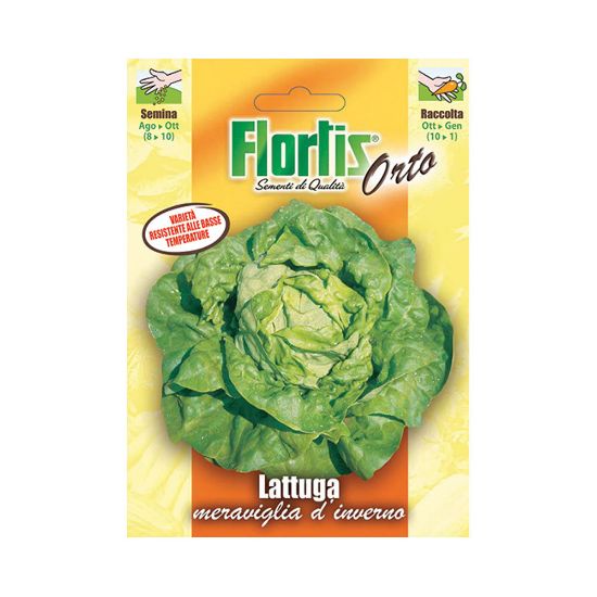 Immagine di BUSTINA SEMI ORTO LATTUGA MERAVIGLIA D'INVERNO L 11,5 H 16 CM FLORTIS