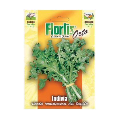 Immagine di BUSTINA SEMI ORTO INVIDIA RICCIA ROMANESCA L 11,5 H 16 CM FLORTIS