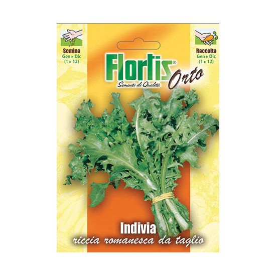 Immagine di BUSTINA SEMI ORTO INVIDIA RICCIA ROMANESCA L 11,5 H 16 CM FLORTIS