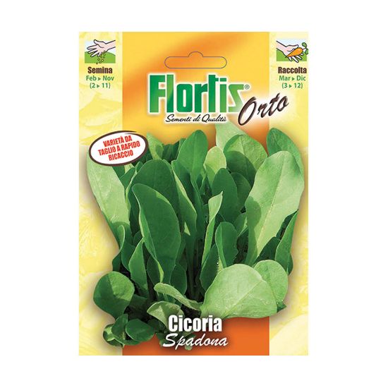 Immagine di BUSTINA SEMI ORTO CICORIA SPADONA L 11,5 H 16 CM FLORTIS